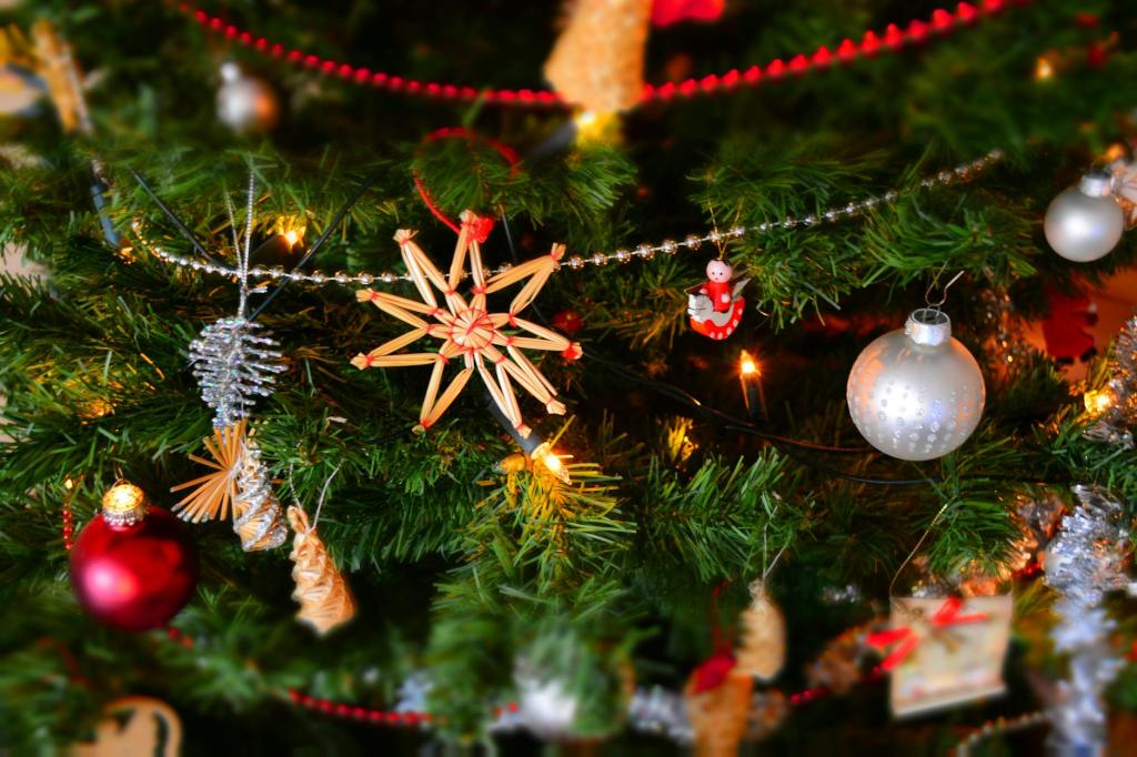 Roots and Traditions: 5 Symbols of the Festive Season