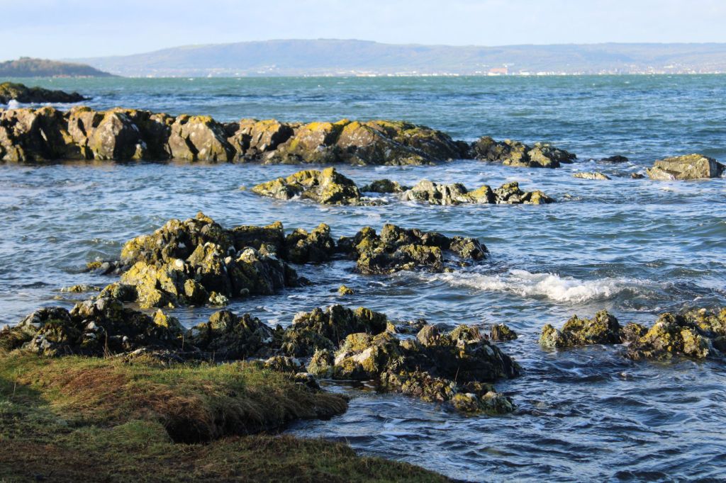 Daily Prompt: Moments of Happiness