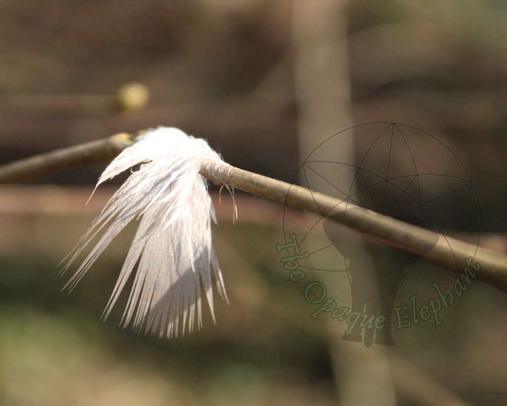 5 Winter Wellness Tips for Aligning with the Season