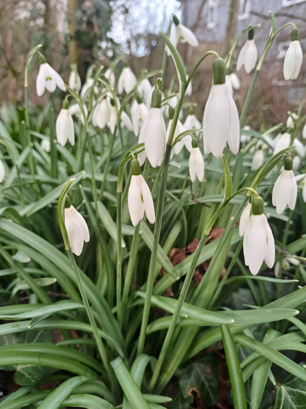 Re-Awakening Hope as the Seasons Change