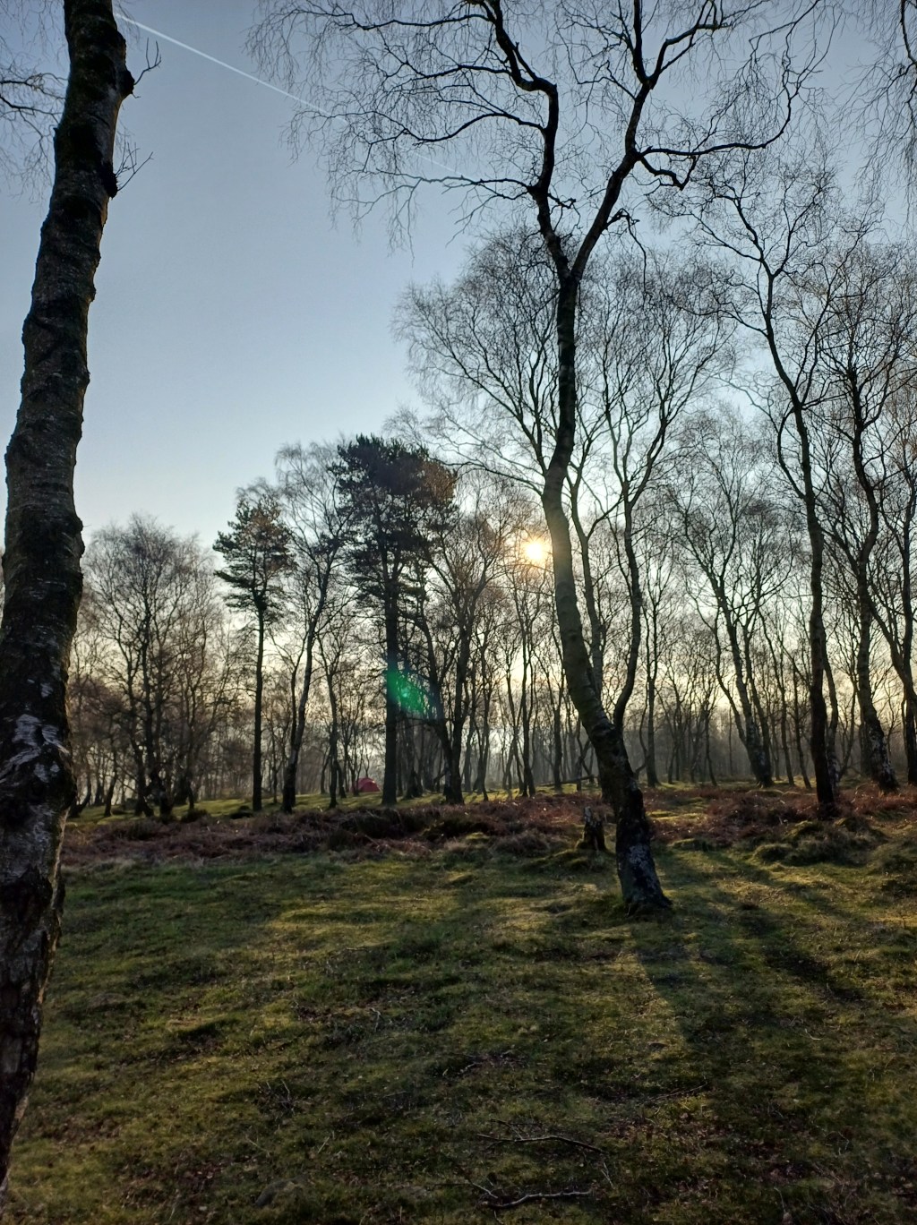 Daily Prompt: Camping