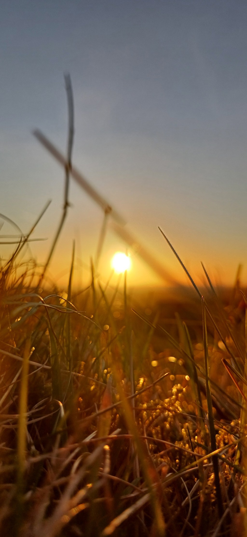 Romanticism, the Sublime, and the Spirit of Inspiration