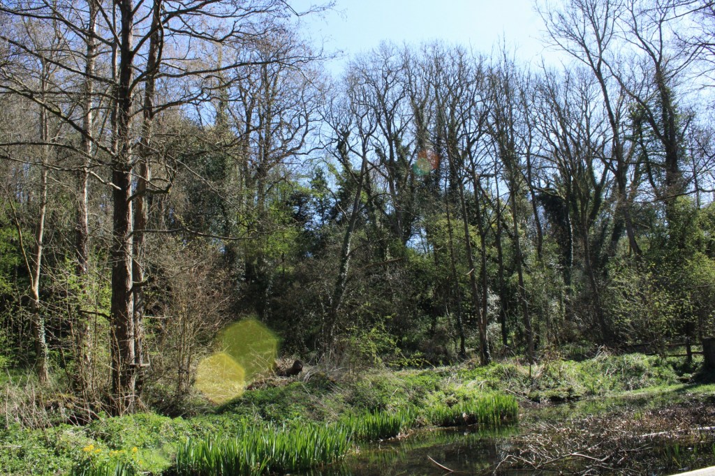 Inspiration in the Community