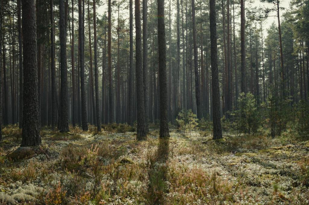 Finding Inspiration: Why I Do What I Do