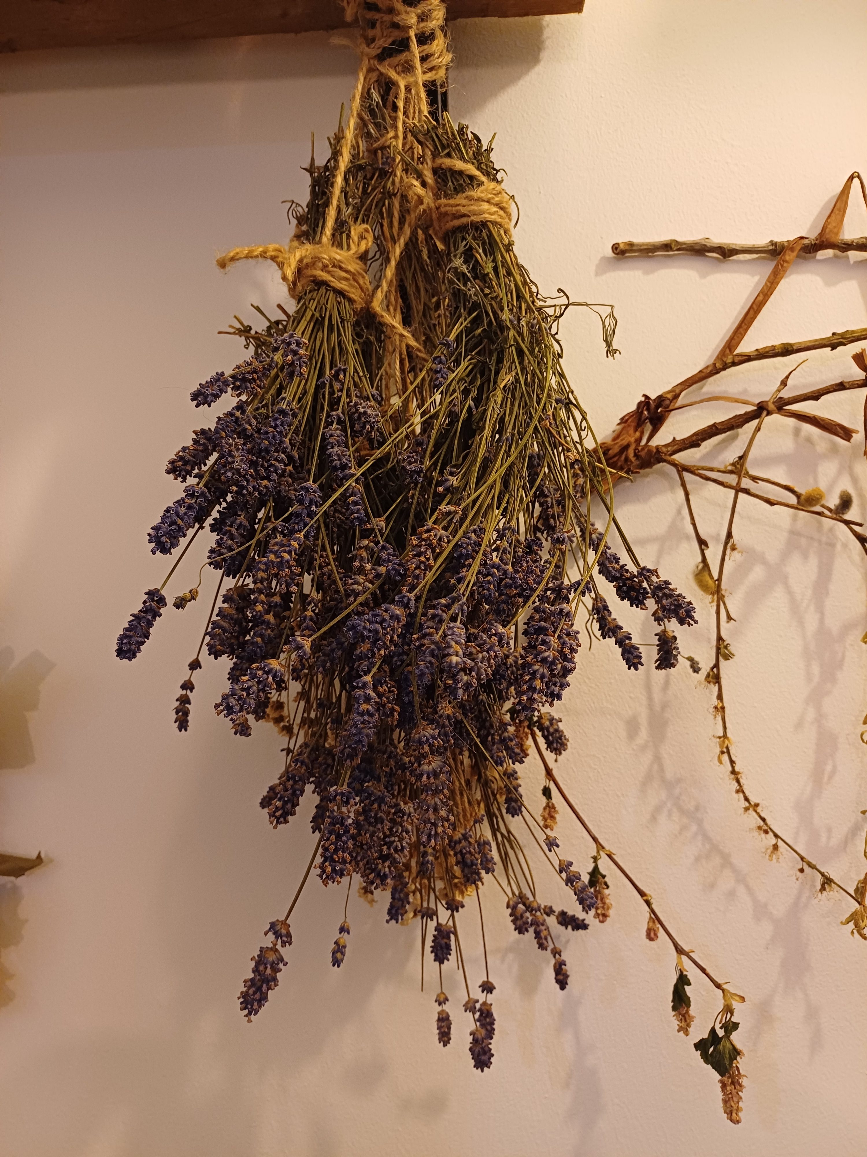 Daily Prompt: Home Decoration